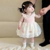 Summer Baby Girl Princess Dress Sleeveless Infant Party Gown Toddler Lace Sundress for First Birthday Ceremony