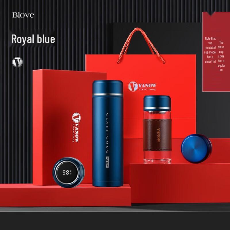 Vanow VO-ZB-03 Royal Blue 316SS Tea Infuser Insulated Bottle