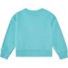 Nike Sweatshirt Pattern Print Soft Comfortable Drop Shoulder Long Sleeve Frost Green Kids Tops HQ7909-328