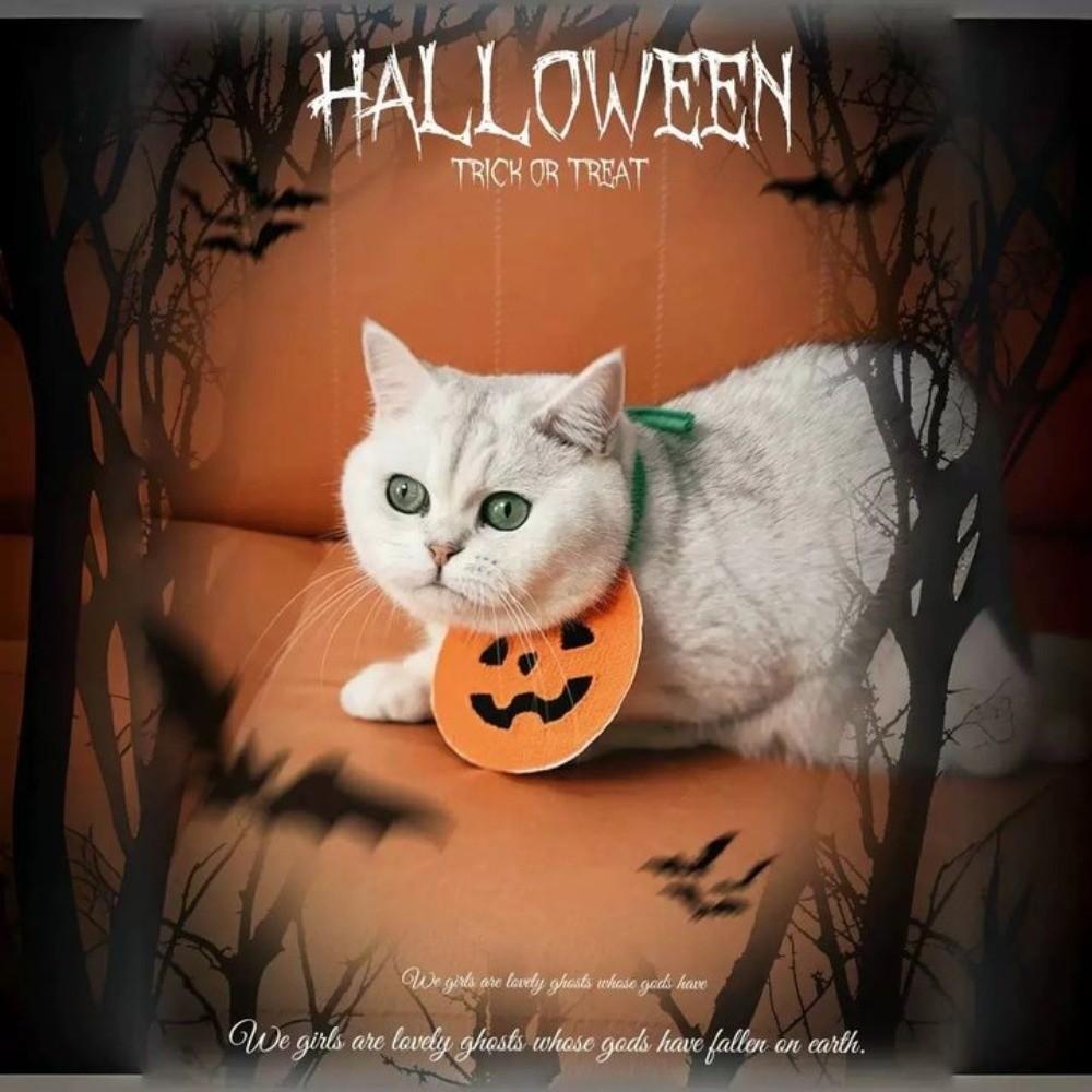 Ghost Pumpkin Dog Scarf Comfortable To Wear Kitty Saliva Towel Lightweight Halloween Pet Bib  Gift