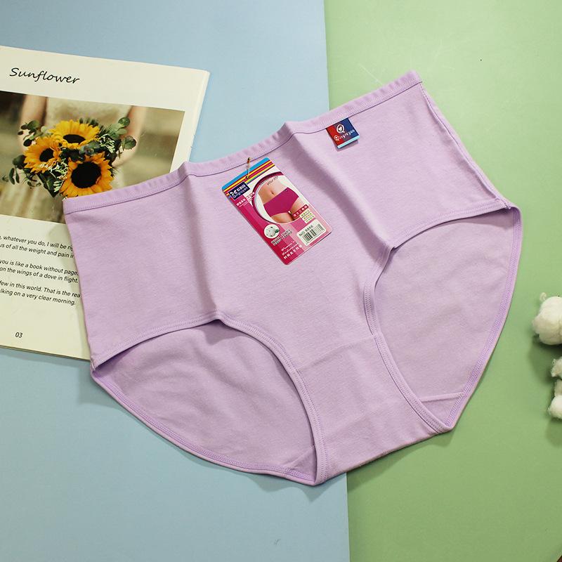 Women's High Rise Briefs Solid Color 95% Cotton Plus Size Breathable Soft Knit Ladies Underwear Panties