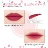 Blend Berry Mousse Touch Tint Lip 006 (Plum Brown)