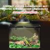 Glass Reptile Terrarium Insect Breeding Tank Vivarium Habitats with Thermometer for Lizards, Horned Frogs, Snakes, Spiders - Large 50 x 30 x 35cm