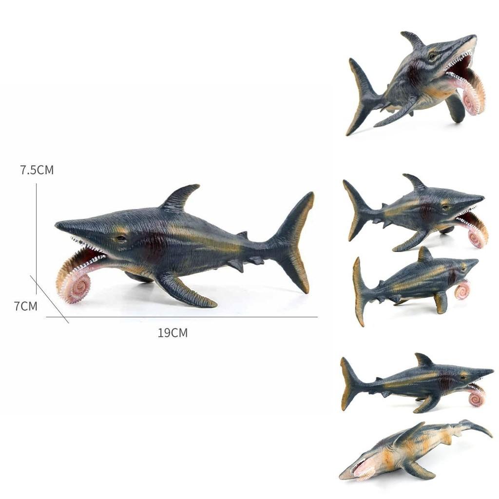 Modello di Dinosauro Marino Helicoprion Per Bambini Giocattolo Realistico in PVC Educativo