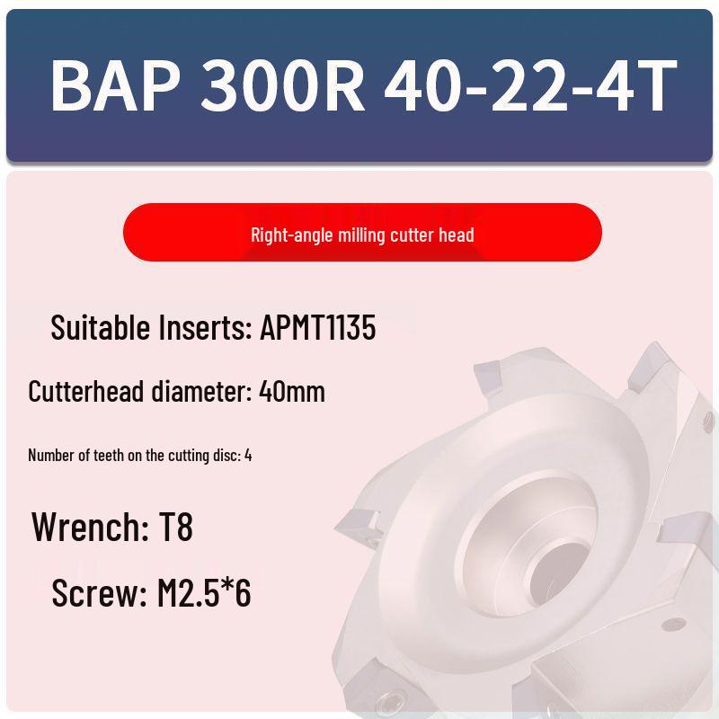Right Angle CNC Milling Head BAP300R for Face & Vertical Milling (Sizes: 40/50/63/80/100)