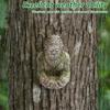 Big-foot Bird Feeder Resin Creative Bird Feeder Weatherproof Tree Mounted Outdoor Sculpture Bird Feeding Tools Garden Decoration