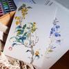 Artist-Grade 300g Cotton Watercolor Postcard Paper - Medium Texture for Professional Art