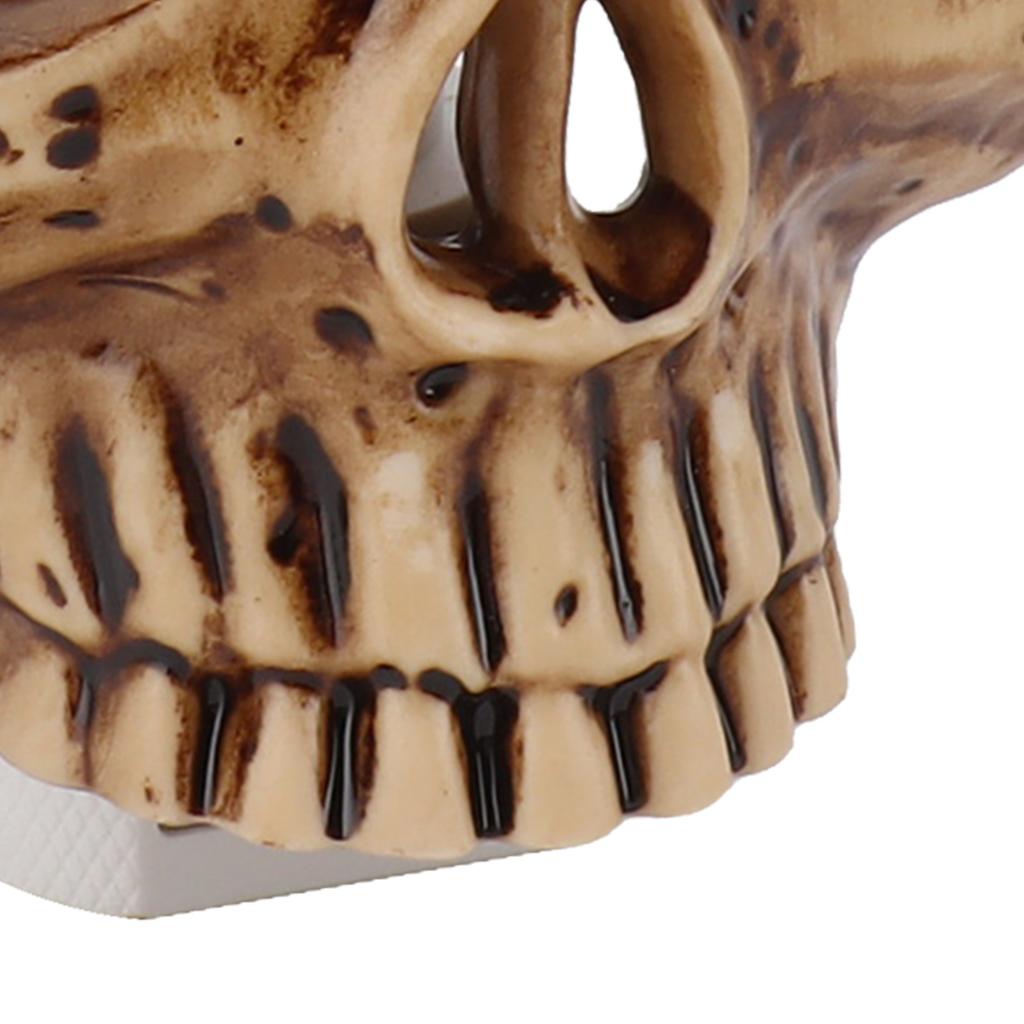 Skull Night Lamp Plug Into Wall Adjustable Brightness Resin Skeleton Night Light Skull Wall Decor for Halloween EU Plug 220V