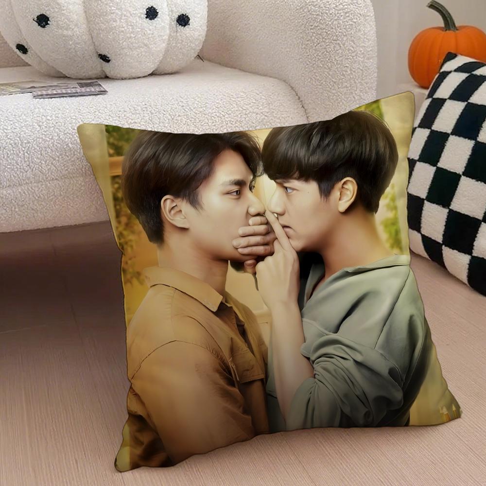 Thai TV drama BBad Buddy Series Cushion Cover Throw Pillow Cover Hidden Button Durable Polyester Chair Cushion
