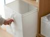 Box 1 Handle 31008 White (48)
