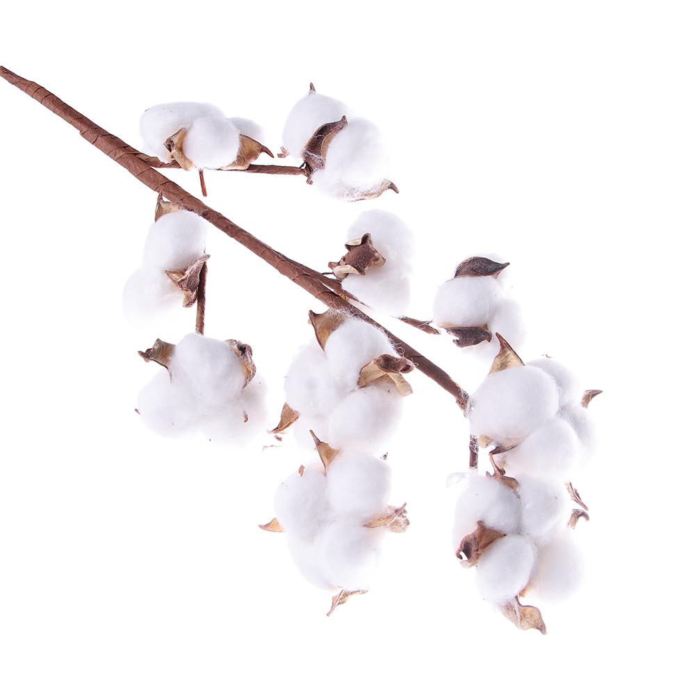 Bruiloftsdecoratie Huisdecoratie Kunstplanten Gedroogde Katoenbloem Katoenen Steel Bloementak