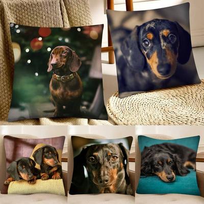 Textil do obýváku a jídelny – Povlaky na polštáře