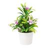 Multicolor Simulation Flowerpotted Plastic Faux Bonsai Morning Glory Artificial Potted Plants  Gift