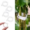 100Pcs Plant Support Clips Reusable Plastic Plant Vine Protection Grafting Fixing Tools for Vegetable Tomato Garden Supplies