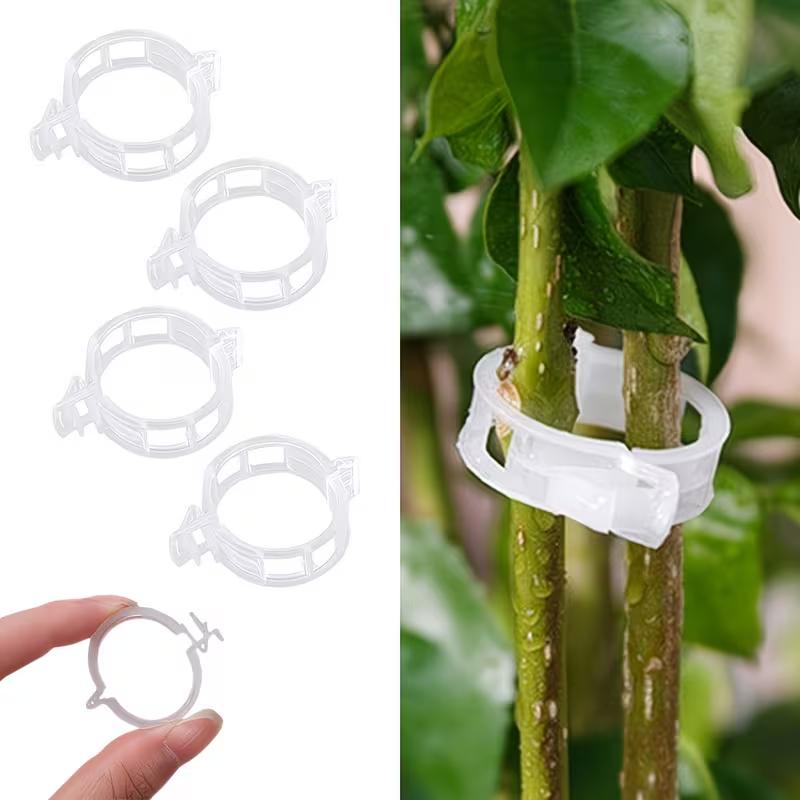 100Pcs Plant Support Clips Reusable Plastic Plant Vine Protection Grafting Fixing Tools for Vegetable Tomato Garden Supplies