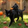 Kopfloser Reiter Haustierkostüm Katzenkostüm Halloween 3D Lustiger Reiter mit Kürbis Feiertag für Hunde Laterne Verstellbares Geschirr Kleine Katzen Cosplay