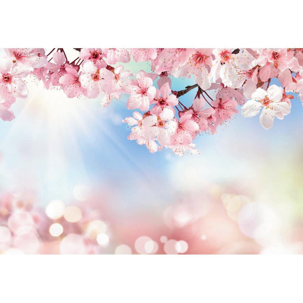 Frühlingsrosa Blumen Hintergrund Glitzer Licht Bokeh Floral Kirschblüte Neugeborenes Baby Porträt Fotografie Hintergrund Fotostudio