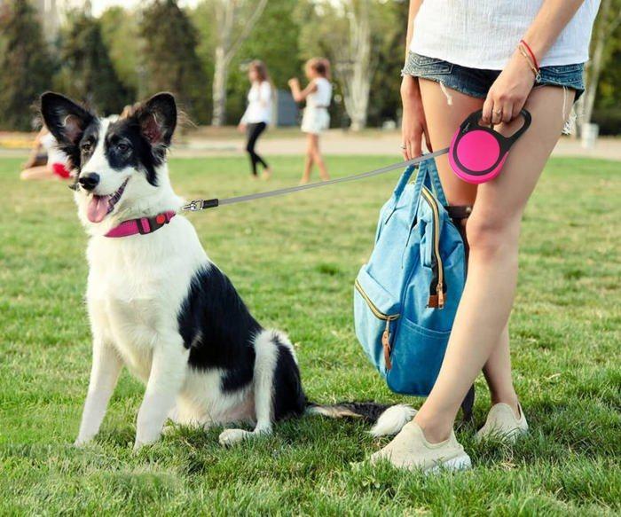 Laisse rétractable - taglory - tl-qys016-pink - 5m - nylon - antidérapante