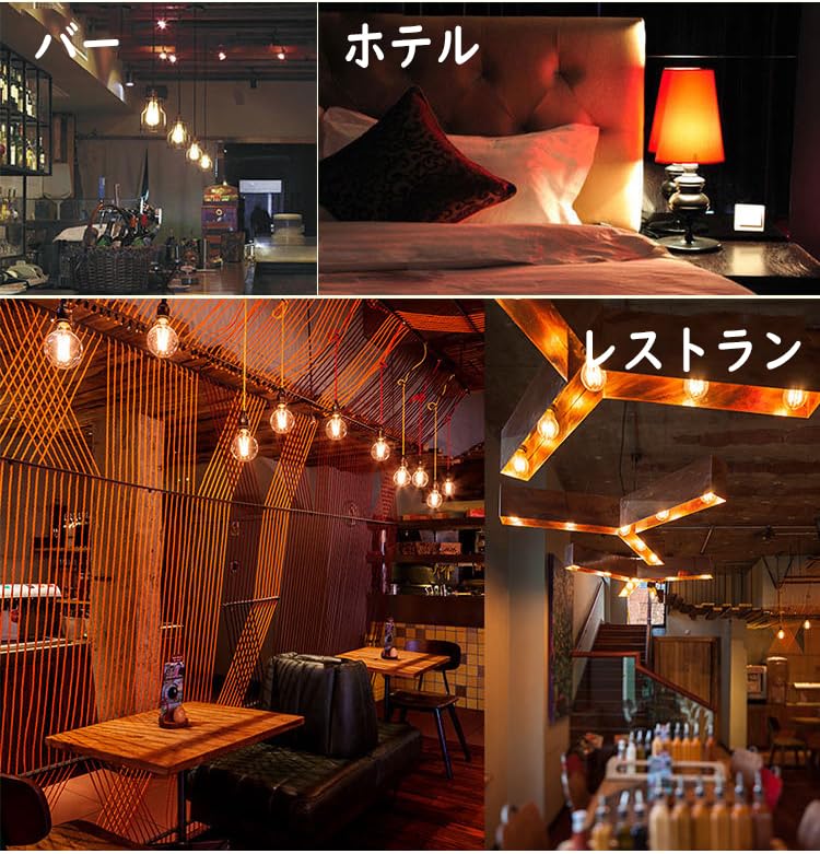 Bravelight Edison Bulbs, 60W, E26E27 Base [G95], Ball Bulbs, Carbon Fiber Bulbs (Non-LED Bulbs), Warm White, Stylish Edison Bulbs, Retro Bulbs,