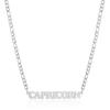 Gold/Silver/Rose Gold Color Twelve Constellations Stainless Steel NK Chain Pendant Necklace Female Jewelry 18+2in