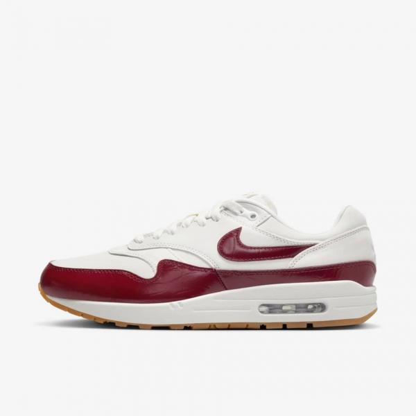 

SAIL and TEAM RED Woman Air Max 1 87 FJ3169-100