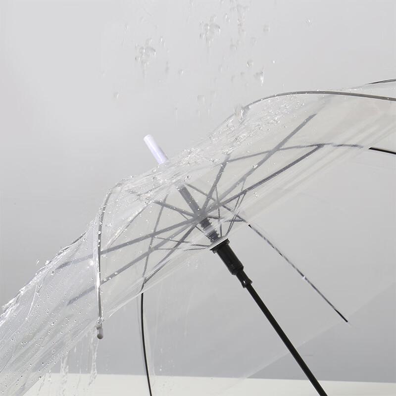 Transparent Straight Handle Umbrella (2-Pack)