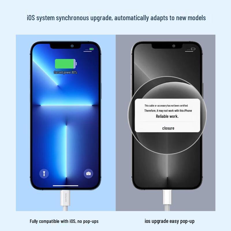 Snowkids PD 20W USB-C to Lightning Fast Charge Cable for iPhone