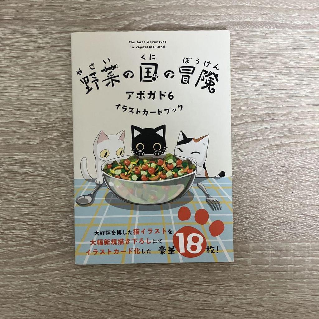 [USED] Avocado 6 Art Book Illustration Card Book Bundle