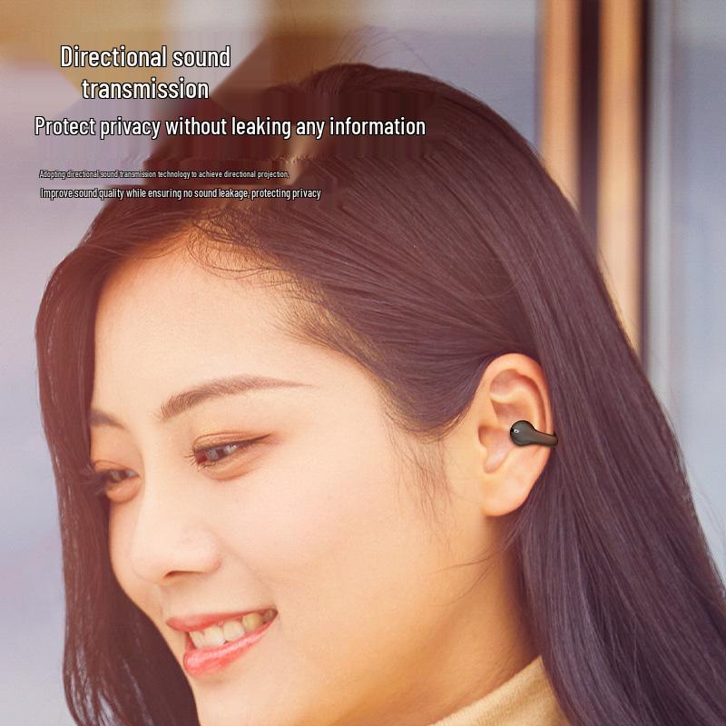 Noise-Cancelling Bluetooth Earphones with Air Conduction & Low Latency