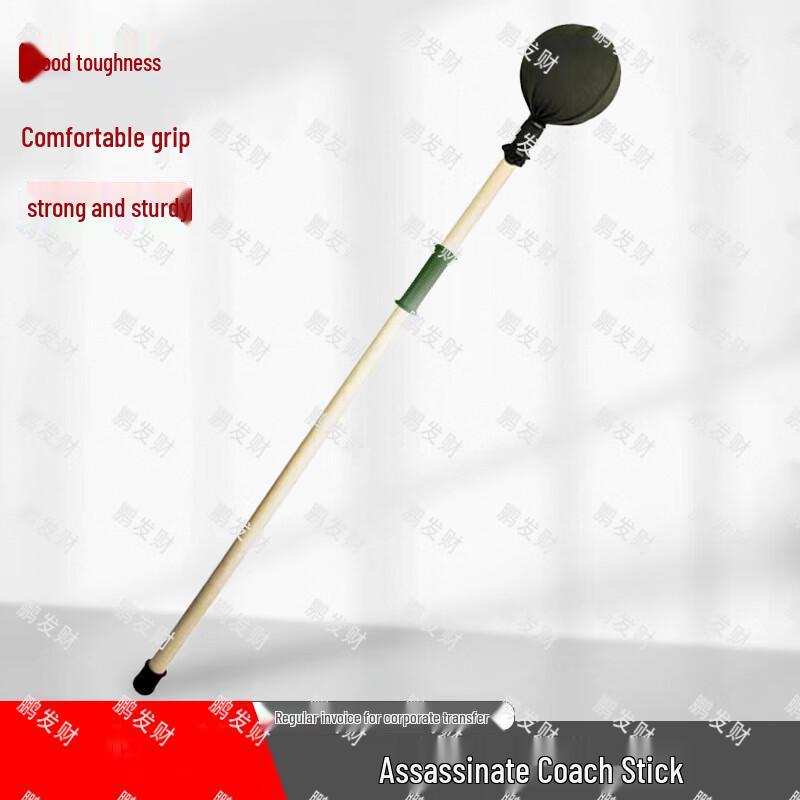 Martial Arts Training Stick 1