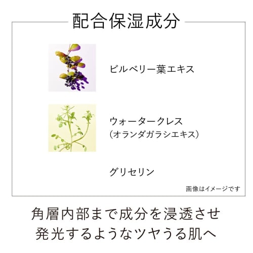 Kanebo Kanebo On Skin Essence F Lotion 125ml (x 1)