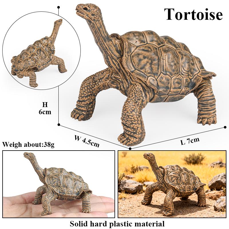 Oenux Reptile Animals Star Turtle Tortoise Geochelone Model Figurines Action Figures PVC Ornament Education Kid Toy Gift