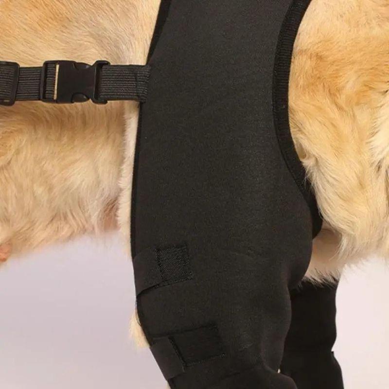 Soporte de Pierna para Perro Rodilla Cadera Articulación Proteger Heridas Prevenir Lesiones Ayuda Canina Y Rehabilitación de Ligamentos Para Mascotas Accesorios
