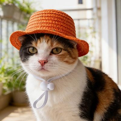 Haustier Strohhut Katze Sonnenhut mit verstellbarem Kordelzug Sommer Haustier Sonnenhut für Katzen und Hunde Outdoor Spaziergänge Sonnenschutz