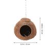 Bird Nest Leopard Gecko Coconut Shell Parrot Pet Supply House Accessories Biting Plaything Small Birds Toy Natural Sleeping