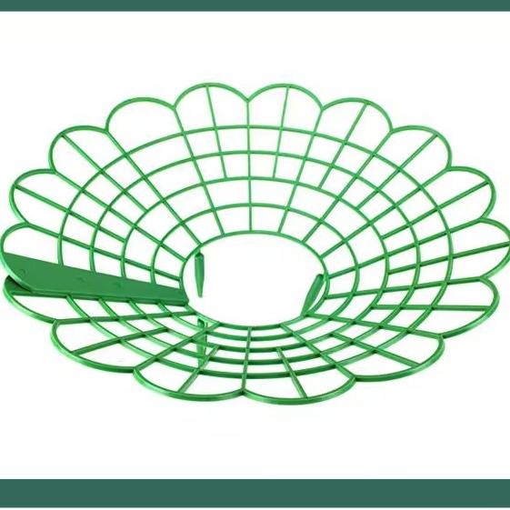 Strawberry Plant Supports with 3 Sturdy Legs Strawberry Growing Racks Protector Frame Holder Cage From Mold Rot Dirt