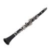 Professional Bb Clarinet Engineering Plastic 17 Keys B Flat Clarinet Instrument for Practice