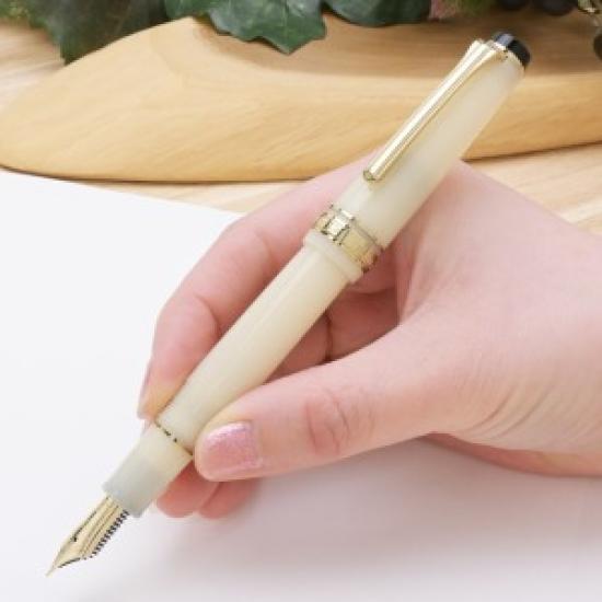 Sailor SHIKIORI 1911 Fountain Pen MEIGETSU Medium Fine Nib 11-1224-303 with Converter