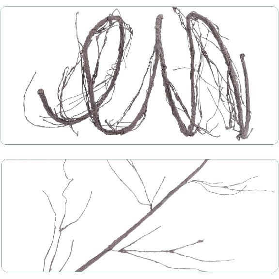 300cm/118inch Bendable Brown Small Artificial Tree Branches Fake Tree Trunk Garland Rattan Wreath Cherry Blossom Grape Vines Floral for Wall Hanging