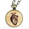 Human Anatomy Organ Necklace Glass Cabochon Science Medical Punk Brain Eye Jewelry Sweater chain Creative Gift