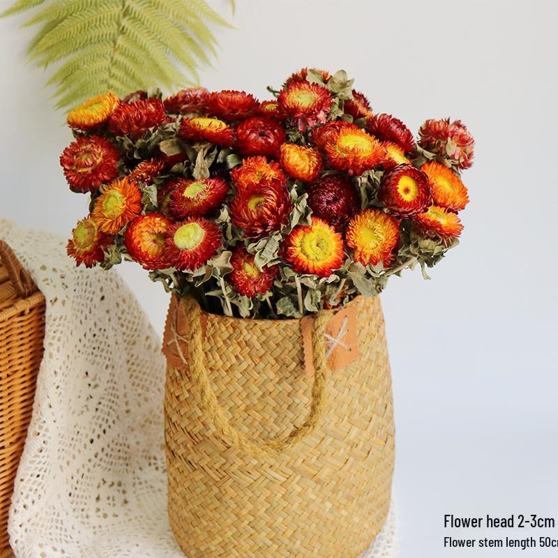 Daisy Dried Flower Bouquet for Living Room and Bedroom Décor - Natural Yunnan Flowers for Display or Photo Props