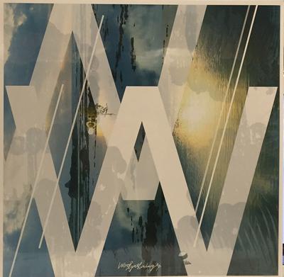 CD NINI TOUNUMA - Woolgathering EASL0010 Easel, Tropical 2011 Japan ObiDance & Electronica Used
