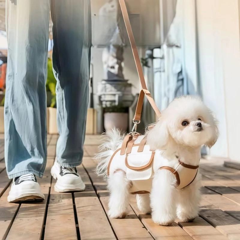 Kleine Hunde Trage Sling Rucksack mit Leinenbefestigung Atmungsaktives Haustier Hebegeschirr für Katzen & Welpen Freihändig Outdoor Reise