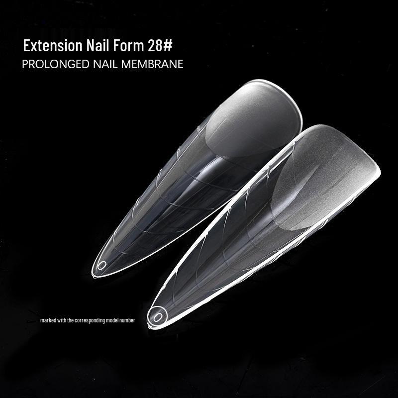 Crystal Nail Extension Molds - 120 Pcs Boxed Nail Tips with Scale for Gel Extensions