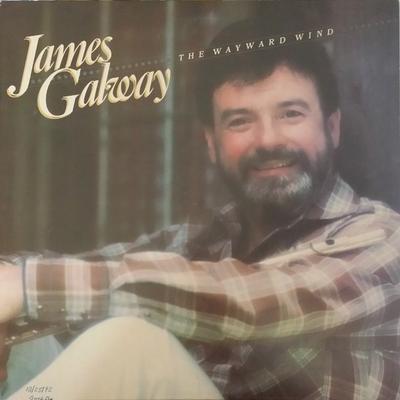 LP Record JAMES GALWAY - Wayward Wind AFL14222 RCA 1982 US World Music Used