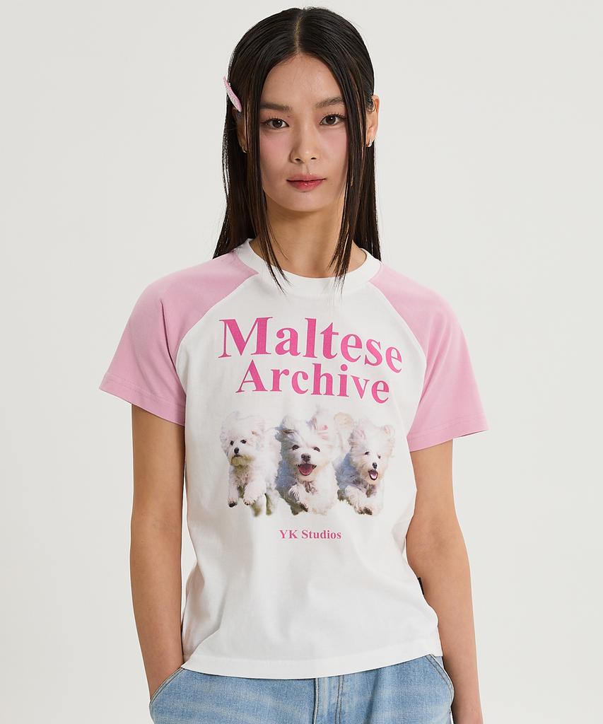 WAIKEI Maltese Archive Raglan Short Sleeve T-Shirt Light Pink