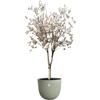 ELHO Pot de fleurs Sereh Rond 47 - Vert - Ø 47 x H 40 cm - 100% recyclé