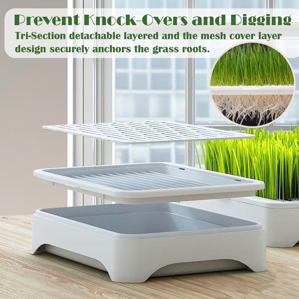 Self-planted Tray Cat Grass Planter Anti-Pull Out Wheat Seedling Pot Home Gardening