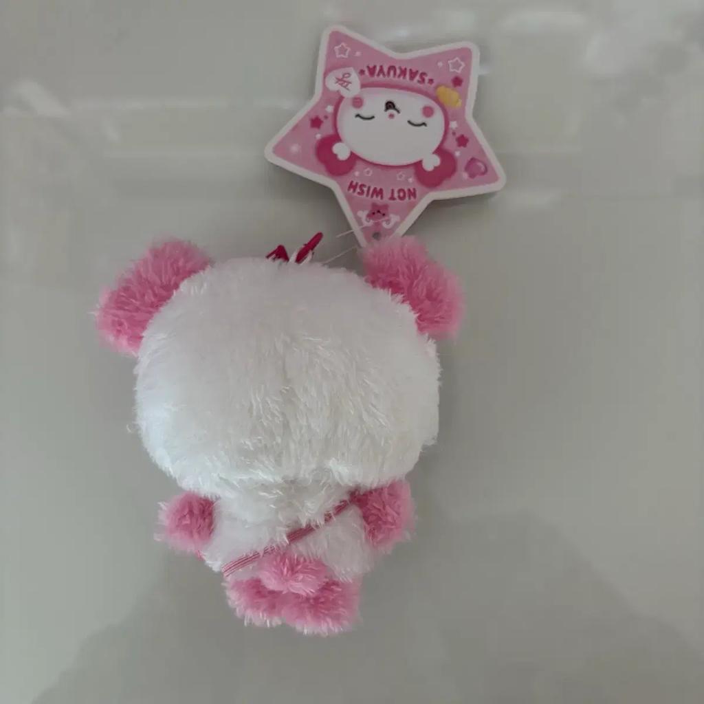 NCT Wish Sakuya Bread Doll Used