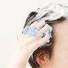 Shampoo Brush Blue GT-500